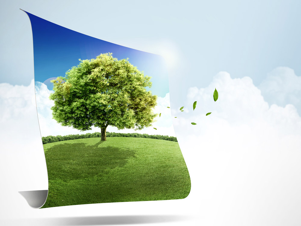 關(guān)于印發(fā)《建設(shè)項目環(huán)評審批原則(試行)》的通知